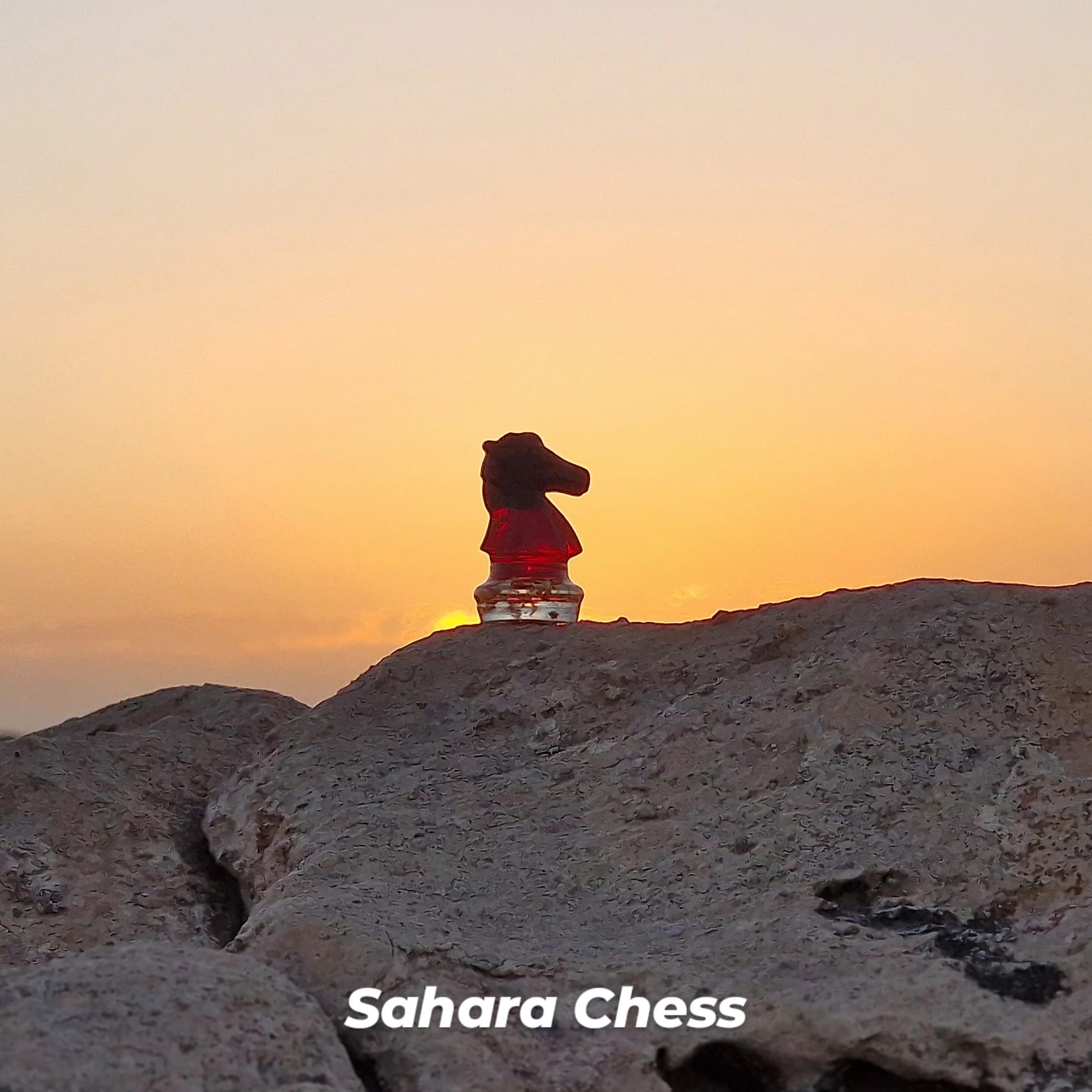 Chess in Morocco